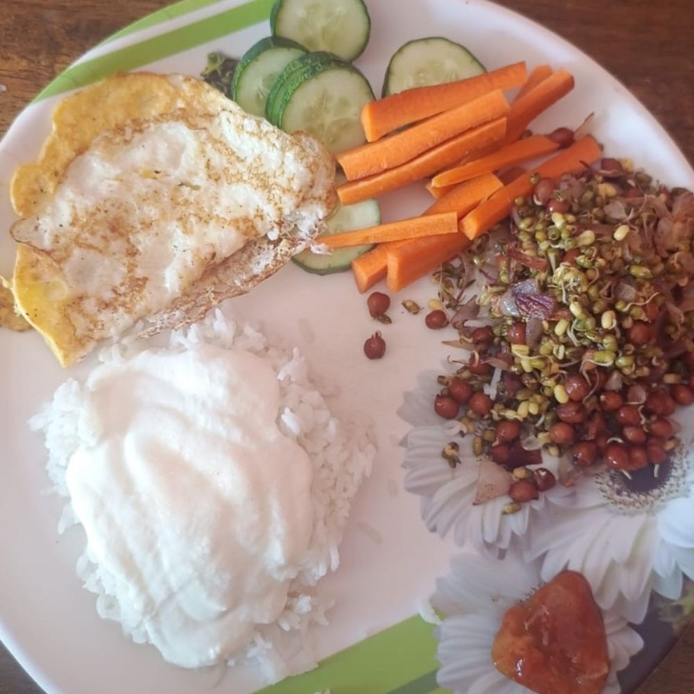 Meal Plate 10