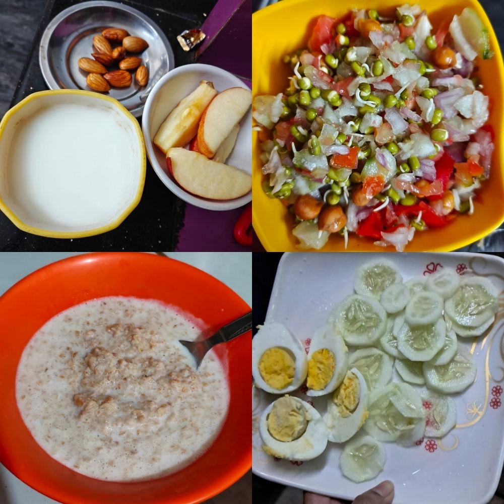 Meal Plate 11
