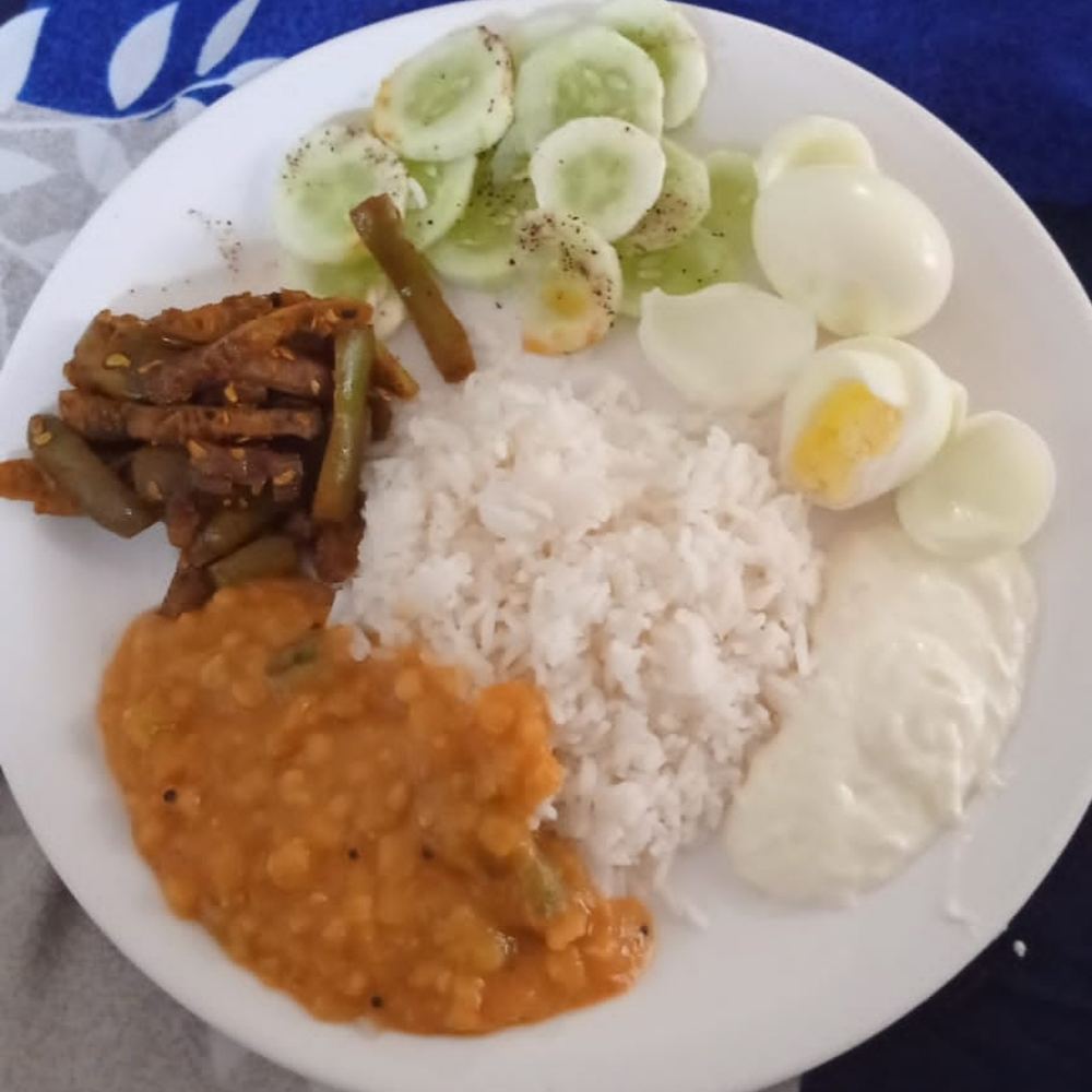 Meal Plate 5